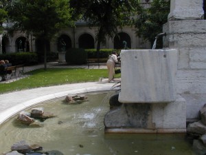 Palais Saint-Pierre (fontaine)